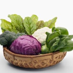 salad_ingredients