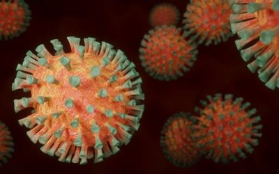 COVID-19 and Comorbidities