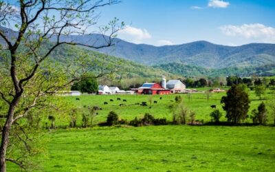 Macronutrients and Wellness: Regenerative Agriculture Farms Near DC