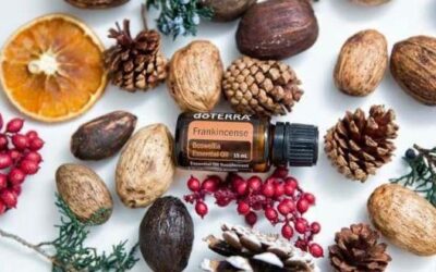 Essential Oils – Prepare for a Healthy Season with Essential Oils