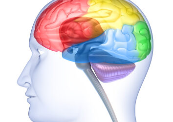 Resilience – Calming the Emotional Brain and Overcoming Trauma & Illness