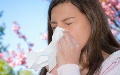 Allergy Treatment Options Are Not One Size Fits All