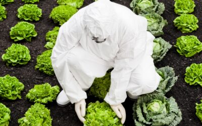 It’s Official! Food IS NOT food