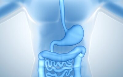Colon Cancer Screening Guidelines