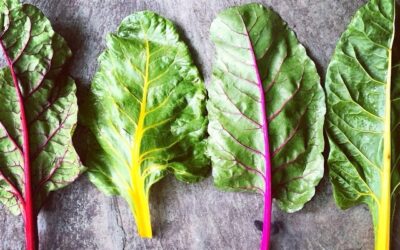 The Epigenetic Language of Food