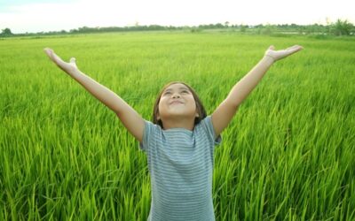 6 Habits for a Healthy Microbiota
