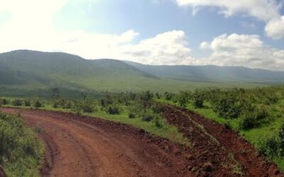 East African Wisdom: On Healing
