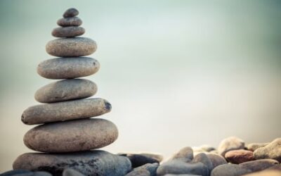 What is a Wellness Coach?