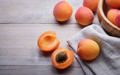 Holistic Nutrition: Summer Fruits Dessert Recipe