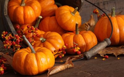 Pumpkin Puree Recipe for Fall’s Superfood