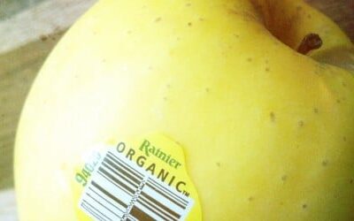 Small Numbers with a Big Meaning: Bar Codes