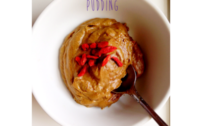 Holistic Nutrition: Avocado Cacao Pudding Recipe
