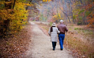 Health Tips for the Fall Season from Chinese Medicine