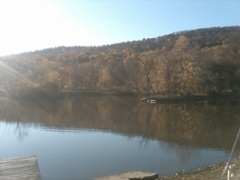 Grief, Mindfulness and Healing – The Passing of Dr. Voss