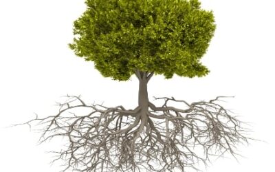 Could Unresolved Conflict from Our Ancestors Be Making Us Sick?