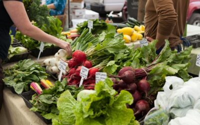 The Magnesium and Diabetes Connection