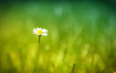 Asthma: A Holistic Approach