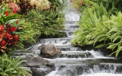 Healthy Water, the Essence of Life