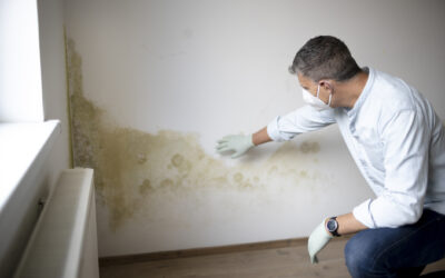 Mold Exposure in Washington, D.C. and the Mid-Atlantic Region