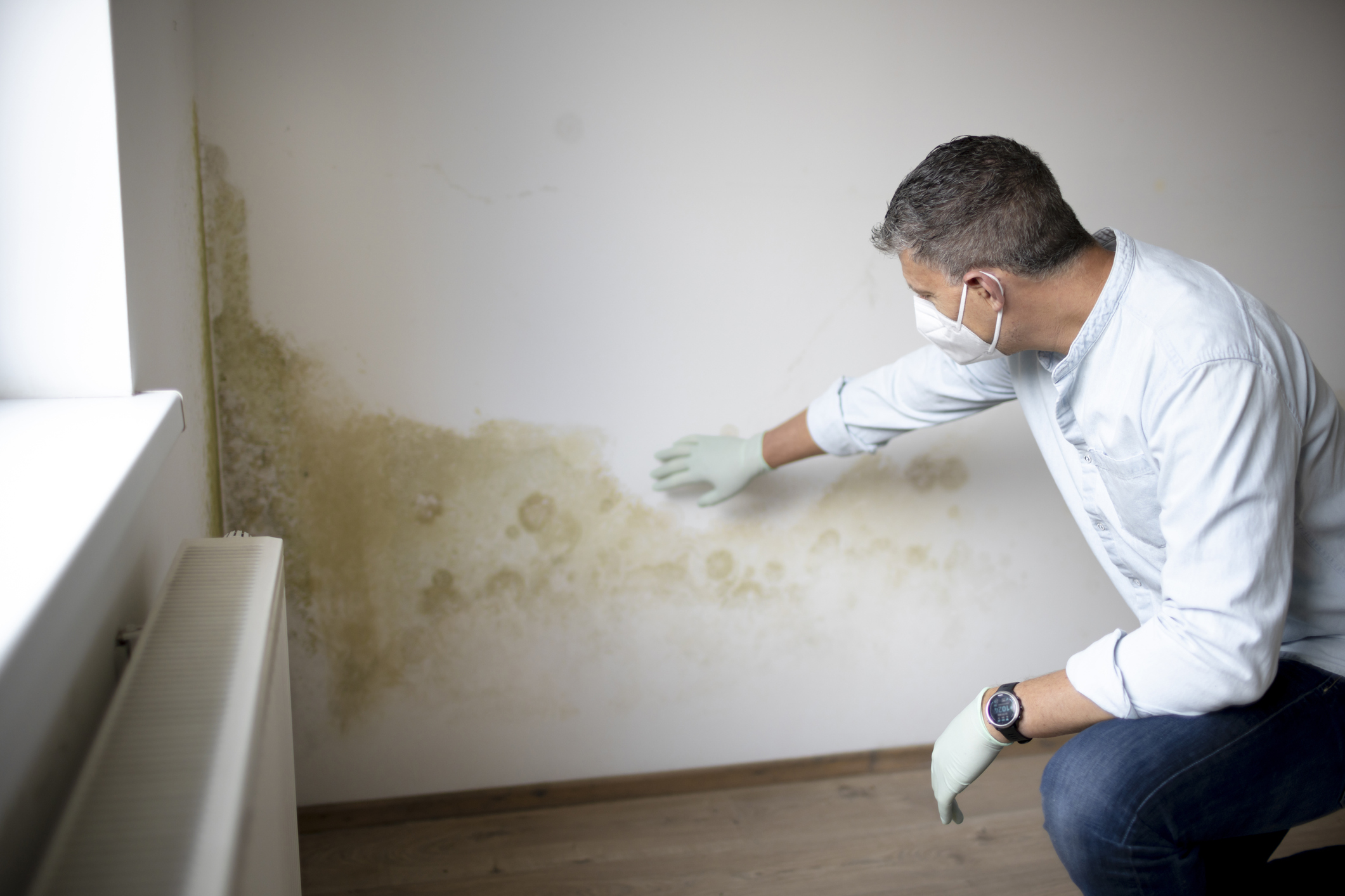 mold_exposure